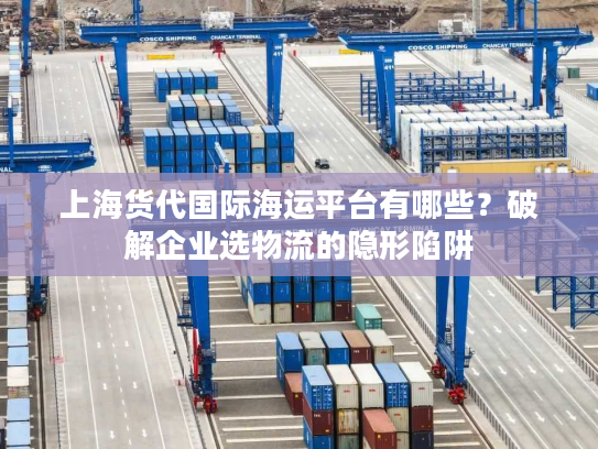 上海货代国际海运平台有哪些？破解企业选物流的隐形陷阱