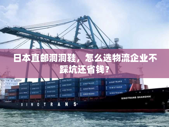 日本直邮洞洞鞋，怎么选物流企业不踩坑还省钱？