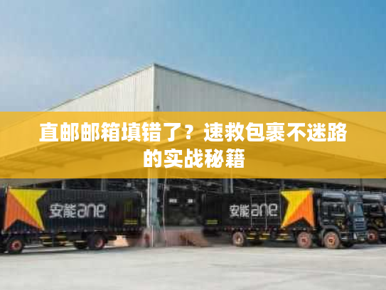 直邮邮箱填错了？速救包裹不迷路的实战秘籍