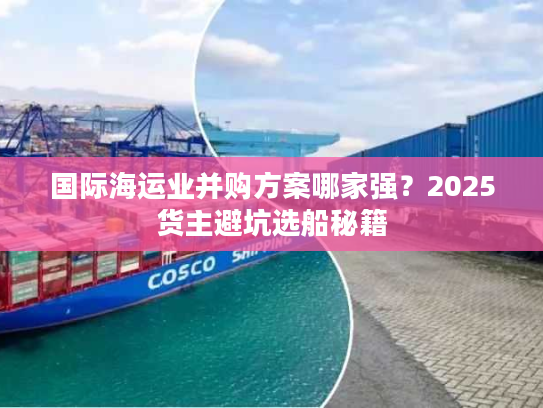 国际海运业并购方案哪家强？2025货主避坑选船秘籍