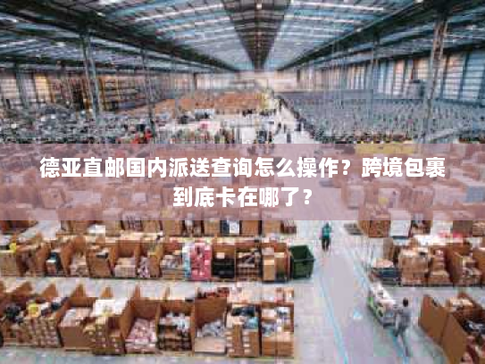 德亚直邮国内派送查询怎么操作?跨境包裹到底卡在哪了? 德亚直邮国内派送查询怎么操作?跨境包裹到底卡在哪了?