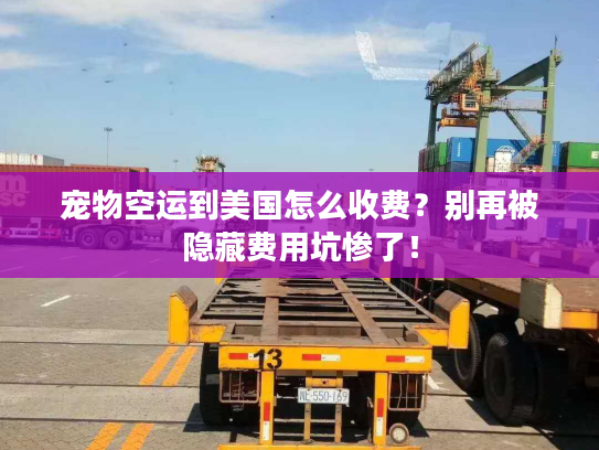 宠物空运到美国怎么收费？别再被隐藏费用坑惨了！