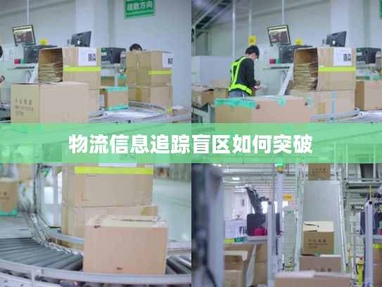 物流信息追踪盲区如何突破 物流信息追踪盲区如何突破