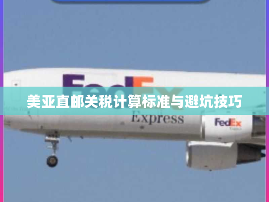美亚直邮关税计算标准与避坑技巧