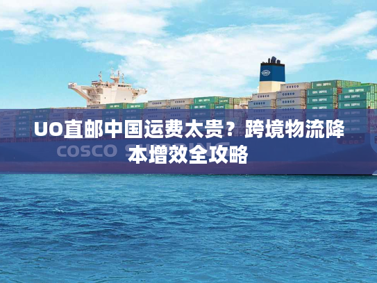 UO直邮中国运费太贵？跨境物流降本增效全攻略