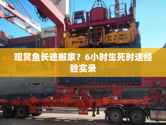 观赏鱼长途搬家?6小时生死时速经验实录 观赏鱼长途搬家?6小时生死时速经验实录