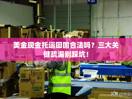 美金现金托运回国合法吗?三大关键疏漏别踩坑! 美金现金托运回国合法吗?三大关键疏漏别踩坑!