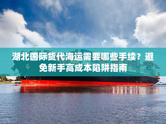 湖北国际货代海运需要哪些手续？避免新手高成本陷阱指南