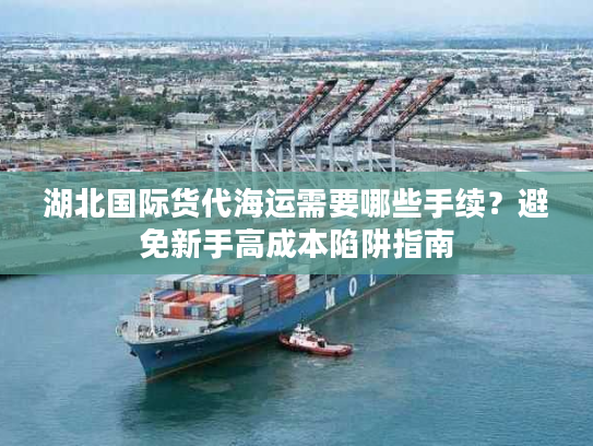 湖北国际货代海运需要哪些手续？避免新手高成本陷阱指南