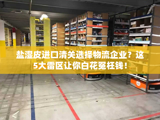 盐湿皮进口清关选择物流企业？这5大雷区让你白花冤枉钱！