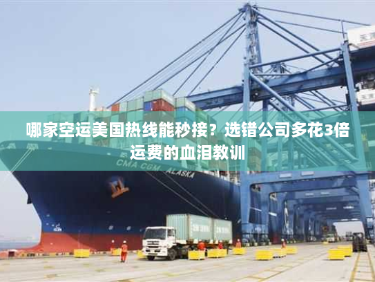 哪家空运美国热线能秒接？选错公司多花3倍运费的血泪教训