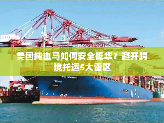 美国纯血马如何安全抵华？避开跨境托运5大雷区