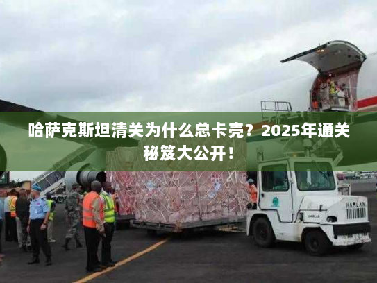 哈萨克斯坦清关为什么总卡壳？2025年通关秘笈大公开！