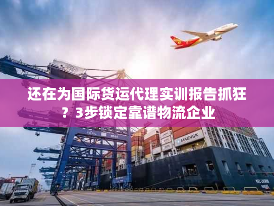 还在为国际货运代理实训报告抓狂？3步锁定靠谱物流企业