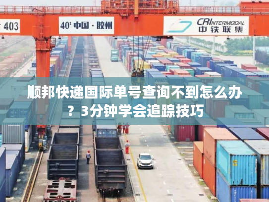 顺邦快递国际单号查询不到怎么办？3分钟学会追踪技巧