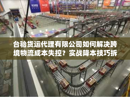 台骀货运代理有限公司如何解决跨境物流成本失控？实战降本技巧拆解