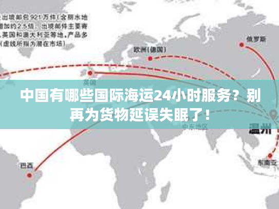 中国有哪些国际海运24小时服务？别再为货物延误失眠了！