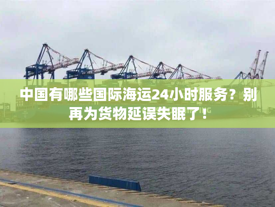 中国有哪些国际海运24小时服务？别再为货物延误失眠了！