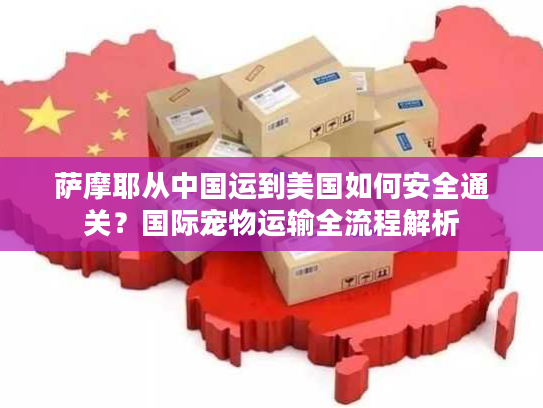 萨摩耶从中国运到美国如何安全通关?国际宠物运输全流程解析 萨摩耶从中国运到美国如何安全通关?国际宠物运输全流程解析
