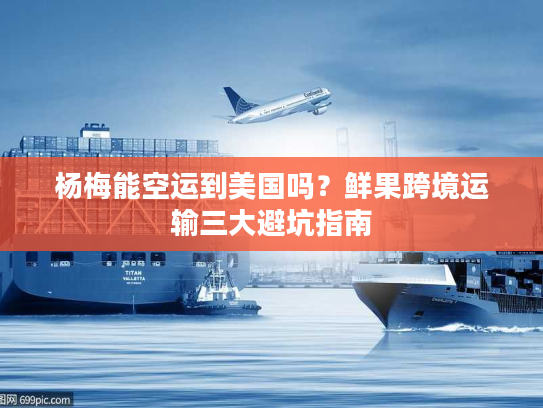 杨梅能空运到美国吗？鲜果跨境运输三大避坑指南