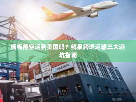 杨梅能空运到美国吗？鲜果跨境运输三大避坑指南