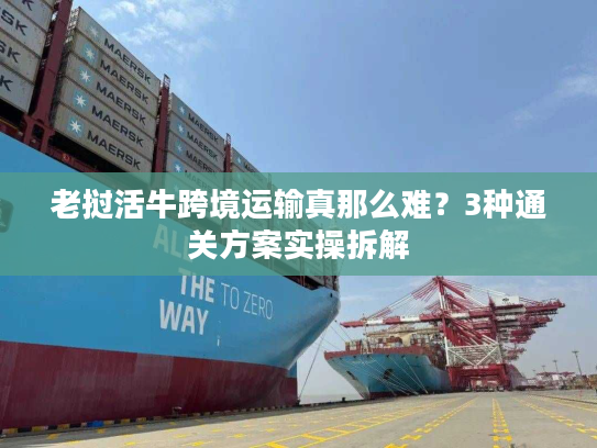 老挝活牛跨境运输真那么难？3种通关方案实操拆解