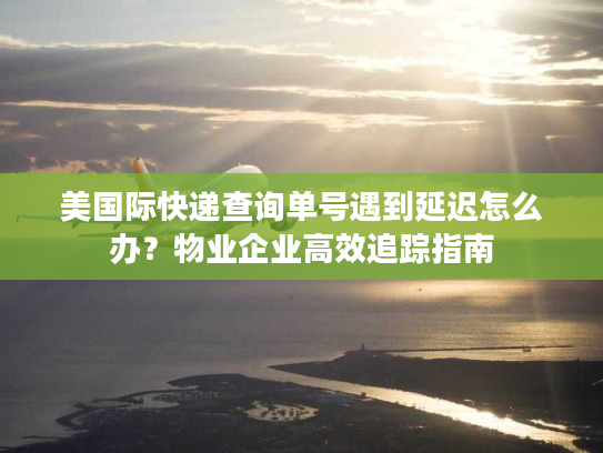 美国际快递查询单号遇到延迟怎么办？物业企业高效追踪指南