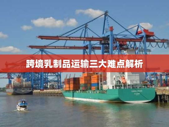 跨境乳制品运输三大难点解析