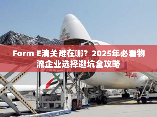 Form E清关难在哪？2025年必看物流企业选择避坑全攻略