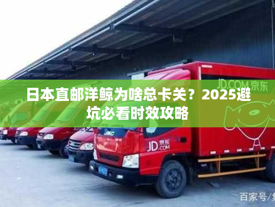 日本直邮洋鲸为啥总卡关？2025避坑必看时效攻略