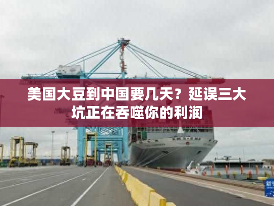 美国大豆到中国要几天?延误三大坑正在吞噬你的利润 美国大豆到中国要几天?延误三大坑正在吞噬你的利润