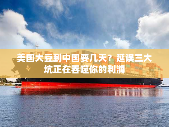 美国大豆到中国要几天?延误三大坑正在吞噬你的利润 美国大豆到中国要几天?延误三大坑正在吞噬你的利润