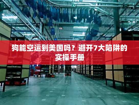狗能空运到美国吗？避开7大陷阱的实操手册