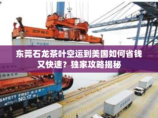 东莞石龙茶叶空运到美国如何省钱又快速？独家攻略揭秘