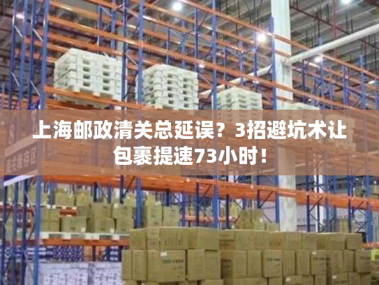 上海邮政清关总延误?3招避坑术让包裹提速73小时! 上海邮政清关总延误?3招避坑术让包裹提速73小时!