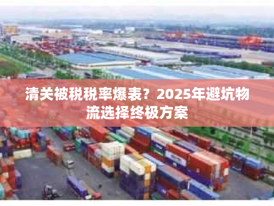 清关被税税率爆表？2025年避坑物流选择终极方案
