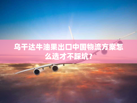 乌干达牛油果出口中国物流方案怎么选才不踩坑？