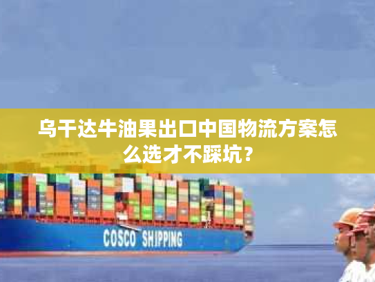 乌干达牛油果出口中国物流方案怎么选才不踩坑？