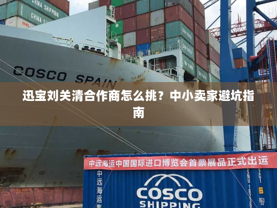 迅宝刘关清合作商怎么挑？中小卖家避坑指南