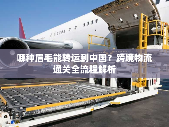 哪种眉毛能转运到中国？跨境物流通关全流程解析