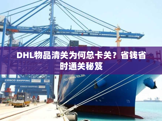DHL物品清关为何总卡关？省钱省时通关秘笈