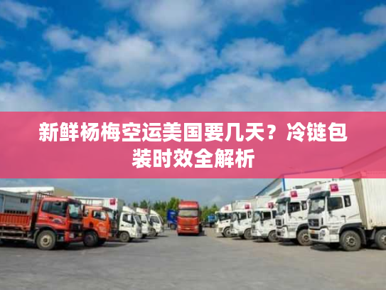 新鲜杨梅空运美国要几天？冷链包装时效全解析