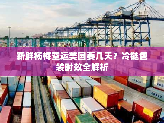 新鲜杨梅空运美国要几天？冷链包装时效全解析