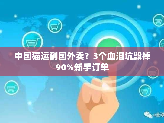 中国猫运到国外卖？3个血泪坑毁掉90%新手订单