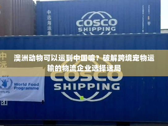澳洲动物可以运到中国嘛？破解跨境宠物运输的物流企业选择迷局