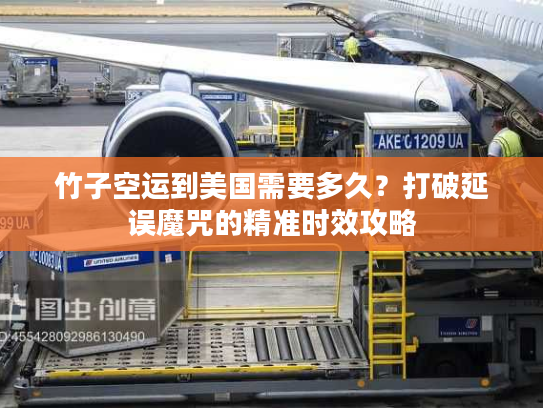 竹子空运到美国需要多久？打破延误魔咒的精准时效攻略