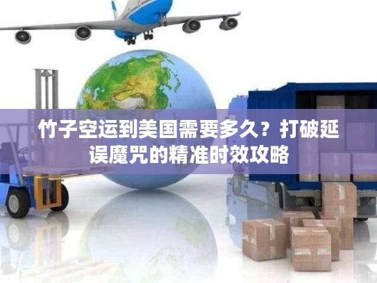 竹子空运到美国需要多久？打破延误魔咒的精准时效攻略