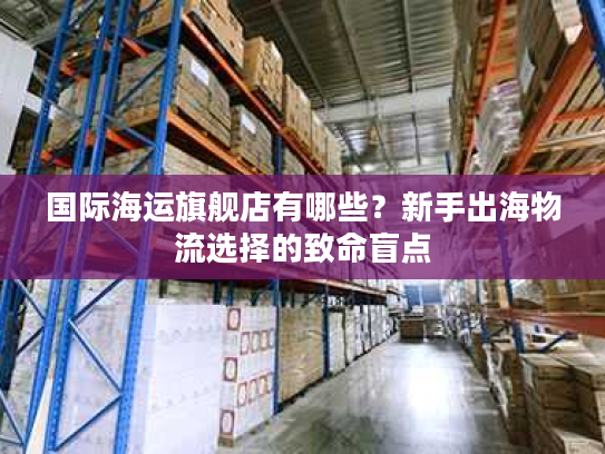 国际海运旗舰店有哪些？新手出海物流选择的致命盲点