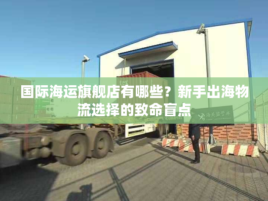 国际海运旗舰店有哪些？新手出海物流选择的致命盲点