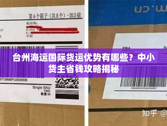 台州海运国际货运优势有哪些？中小货主省钱攻略揭秘